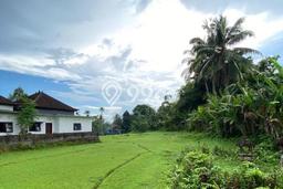 Tanah Dijual Lokasi Selemadeg, Tabanan Luas 4000m2 Legalitas Aman Tanah Dijual Lokasi Selemadeg, Tabanan Luas 4000m2 Legalitas Aman
