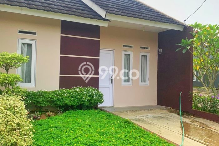 Dijual Rumah Siap Huni di Serang Serang Harga Rp 166 Juta LT 60m2 Dijual Rumah Siap Huni di Serang Serang Harga Rp 166 Juta LT 60m2