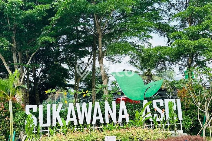 Hunian Murah Dijual Area Serang, Serang Harga Rp 166 Juta Hunian Murah Dijual Area Serang, Serang Harga Rp 166 Juta