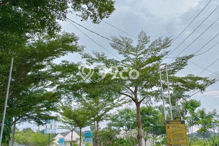 Jual Rumah Murah Meriah Serang Punya 2 KT & LT 60m2 Jual Rumah Murah Meriah Serang Punya 2 KT & LT 60m2