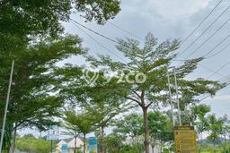 Jual Rumah Murah Meriah Serang Punya 2 KT & LT 60m2 Jual Rumah Murah Meriah Serang Punya 2 KT & LT 60m2