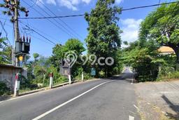 Lahan Disewakan di Bunutan, Karangasem, Luas 13800m2 - Lahan Disewakan di Bunutan, Karangasem, Luas 13800m2 -