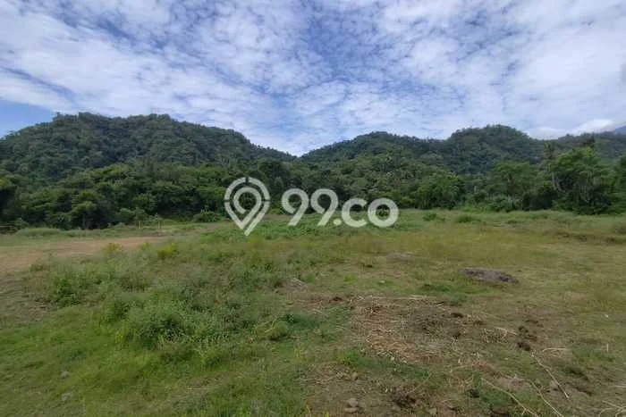 Tanah Kavling Dijual di Buleleng dengan Spesifikasi 28000m2 Tanah Kavling Dijual di Buleleng dengan Spesifikasi 28000m2