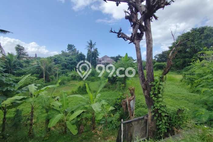 Tanah Dijual Area Strategis di Keramas Gianyar 5040m2 Tanah Dijual Area Strategis di Keramas Gianyar 5040m2