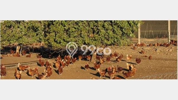 Lahan Kosong Dijual di Bogor dengan Area 110000m2 Lahan Kosong Dijual di Bogor dengan Area 110000m2