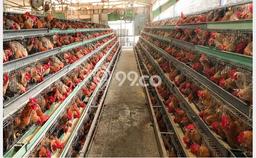 Lahan Kosong Dijual di Bogor dengan Area 110000m2 Lahan Kosong Dijual di Bogor dengan Area 110000m2