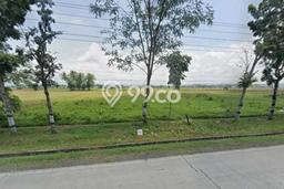 Tanah Kavling di Bukateja Dijual dengan Luas 7621m2 Tanah Kavling di Bukateja Dijual dengan Luas 7621m2