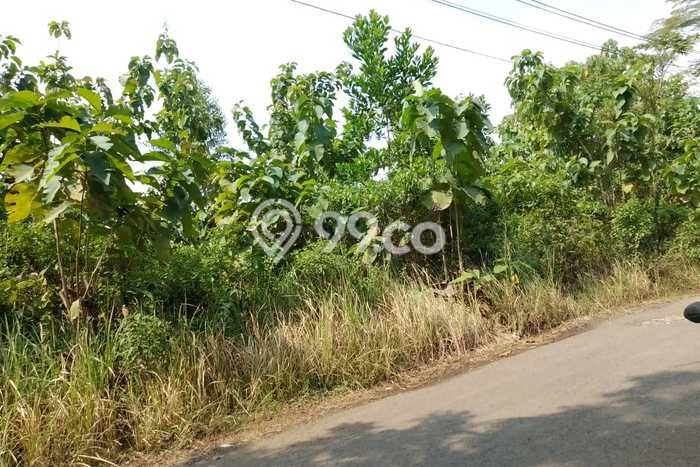 Kavling Tanah Dijual di Wanareja, Cilacap, Luas 6020m2 Area Strategis Kavling Tanah Dijual di Wanareja, Cilacap, Luas 6020m2 Area Strategis