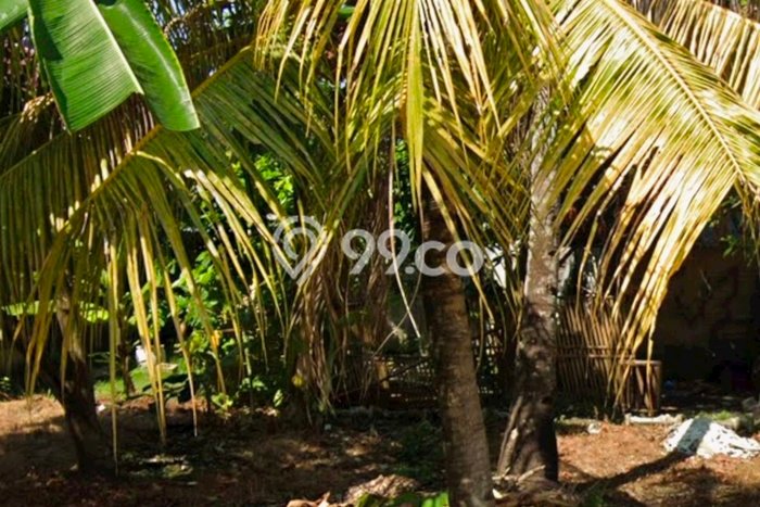 Dijual Cepat Rumah Bagus Siap Huni LB 120m2 di Adipala, Cilacap Dijual Cepat Rumah Bagus Siap Huni LB 120m2 di Adipala, Cilacap