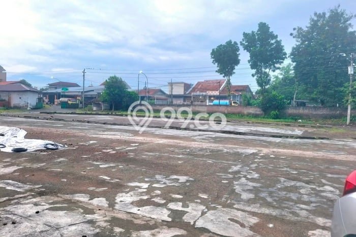 Jual Tanah Lokasi Prima Kawasan Slawi, Luas 7000m², Lingkungan Asri Jual Tanah Lokasi Prima Kawasan Slawi, Luas 7000m², Lingkungan Asri
