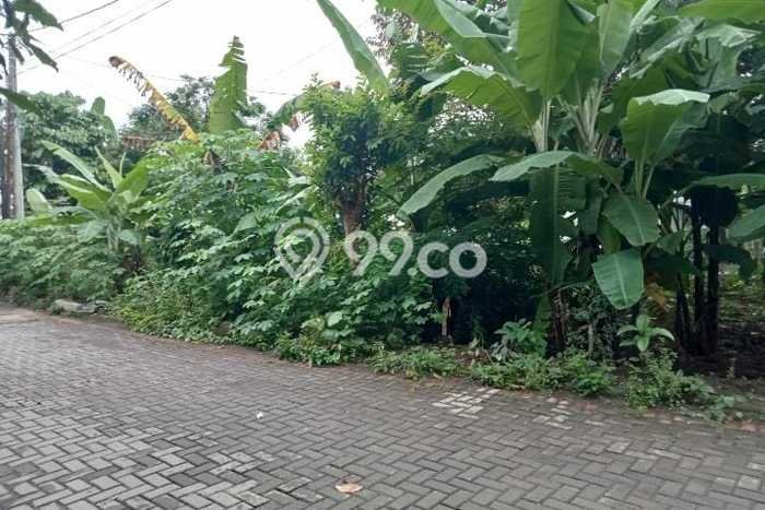 Tanah Dijual Lokasi Depok, Sleman Luas 631m2 Legalitas Aman Tanah Dijual Lokasi Depok, Sleman Luas 631m2 Legalitas Aman
