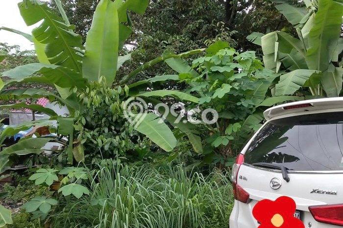 Tanah Dijual Lokasi Depok, Sleman Luas 631m2 Legalitas Aman Tanah Dijual Lokasi Depok, Sleman Luas 631m2 Legalitas Aman
