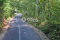 Tanah di Tambak, Banyumas Luas 4300m2 Dijual Segera Tanah di Tambak, Banyumas Luas 4300m2 Dijual Segera