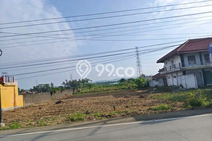 Tanah untuk Dijual Lokasi Kesugihan, Cilacap Luas 5449m2 SHM Tanah untuk Dijual Lokasi Kesugihan, Cilacap Luas 5449m2 SHM