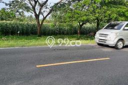 Lahan Strategis di Purwodadi Dijual dengan Luas 13000m2 Lahan Strategis di Purwodadi Dijual dengan Luas 13000m2