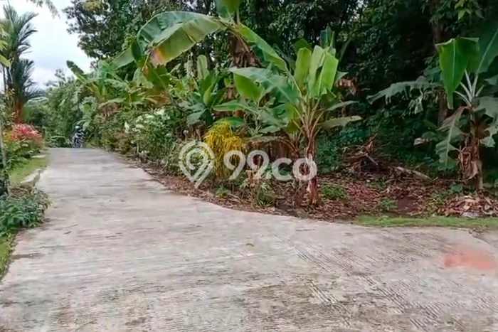 Jarang Ada! Tanah di Kesugihan Punya Luas 2318m2 SHM Jarang Ada! Tanah di Kesugihan Punya Luas 2318m2 SHM