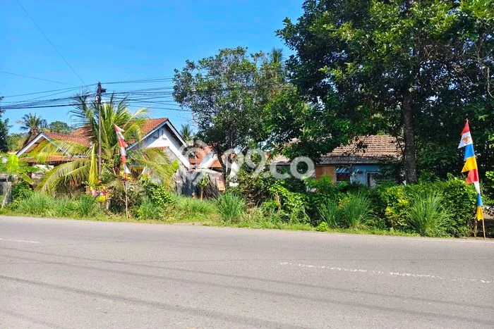Tanah di Kesugihan, Cilacap Luas 524m2 Dijual Segera Tanah di Kesugihan, Cilacap Luas 524m2 Dijual Segera