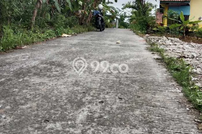 Jarang Ada! Tanah di Kesugihan Punya Luas 2318m2 SHM Jarang Ada! Tanah di Kesugihan Punya Luas 2318m2 SHM