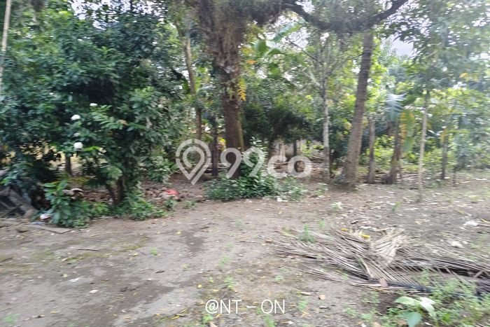 Tanah Kavling untuk Dijual di Kroya Cilacap 1010m2 Tanah Kavling untuk Dijual di Kroya Cilacap 1010m2