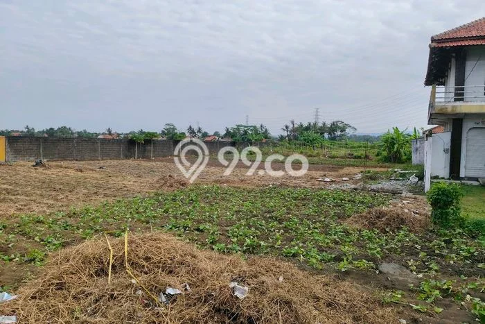 Tanah untuk Dijual Lokasi Kesugihan, Cilacap Luas 5449m2 SHM Tanah untuk Dijual Lokasi Kesugihan, Cilacap Luas 5449m2 SHM