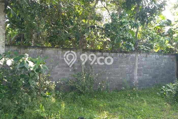Tanah Kavling untuk Dijual di Kroya Cilacap 1010m2 Tanah Kavling untuk Dijual di Kroya Cilacap 1010m2