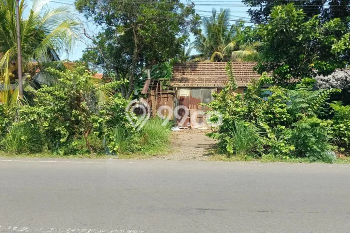 Tanah di Kesugihan, Cilacap Luas 524m2 Dijual Segera Tanah di Kesugihan, Cilacap Luas 524m2 Dijual Segera