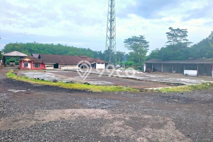 Jual Tanah Lokasi Prima Kawasan Slawi, Luas 7000m², Lingkungan Asri Jual Tanah Lokasi Prima Kawasan Slawi, Luas 7000m², Lingkungan Asri