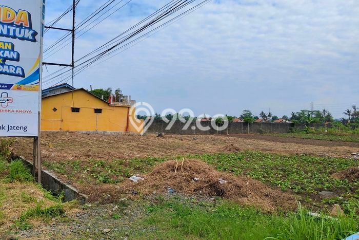 Tanah untuk Dijual Lokasi Kesugihan, Cilacap Luas 5449m2 SHM Tanah untuk Dijual Lokasi Kesugihan, Cilacap Luas 5449m2 SHM