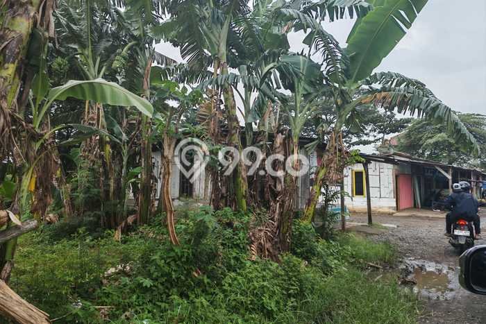 Tanah di Sampang, Cilacap Luas 9005m2 Dijual Segera Tanah di Sampang, Cilacap Luas 9005m2 Dijual Segera