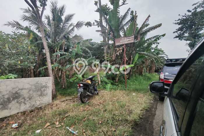 Tanah di Sampang, Cilacap Luas 9005m2 Dijual Segera Tanah di Sampang, Cilacap Luas 9005m2 Dijual Segera