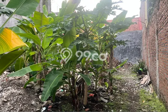 Tanah Kavling untuk Dijual di Pedurungan Semarang 170m2 Tanah Kavling untuk Dijual di Pedurungan Semarang 170m2