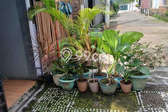Jual Rumah Siap Huni di Mijen Semarang Harga Rp 365 Juta LT 129m2 Jual Rumah Siap Huni di Mijen Semarang Harga Rp 365 Juta LT 129m2