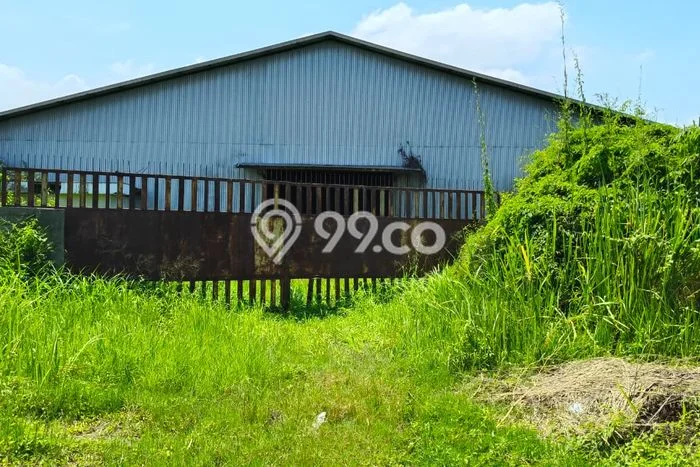 Unit Gudang Dijual di Kaliwungu Kendal Luas Tanah 11000m2, Luas Bangunan 6300m2 Unit Gudang Dijual di Kaliwungu Kendal Luas Tanah 11000m2, Luas Bangunan 6300m2