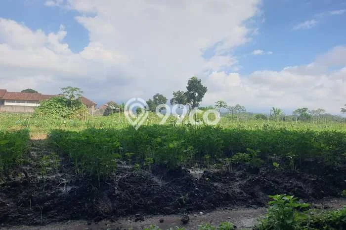 Tanah Kavling untuk Dijual di Parakan Temanggung 9500m2 Tanah Kavling untuk Dijual di Parakan Temanggung 9500m2