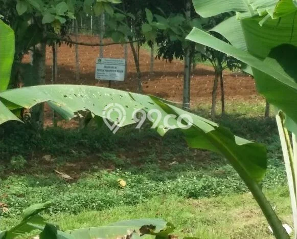 Tanah Kawasan Ciampea, Luas 13000m², Status SHM, Dekat Ciampea, Bogor, Bogor Tanah Kawasan Ciampea, Luas 13000m², Status SHM, Dekat Ciampea, Bogor, Bogor