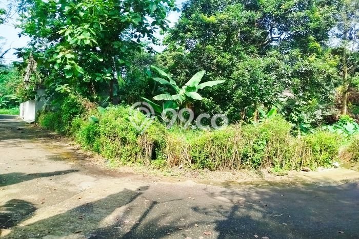 Tanah Kawasan Bogor Barat, Luas 800m², Dekat Bogor Barat, Bogor, Bogor Tanah Kawasan Bogor Barat, Luas 800m², Dekat Bogor Barat, Bogor, Bogor