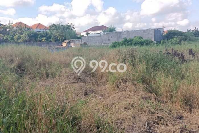 Tanah Disewakan Lokasi Badung Seluas 800m2 Strategis dan Aman Tanah Disewakan Lokasi Badung Seluas 800m2 Strategis dan Aman