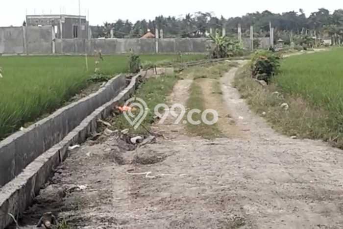 Jarang Ada! Tanah di Kerambitan Punya Luas 4200m2 SHM Jarang Ada! Tanah di Kerambitan Punya Luas 4200m2 SHM
