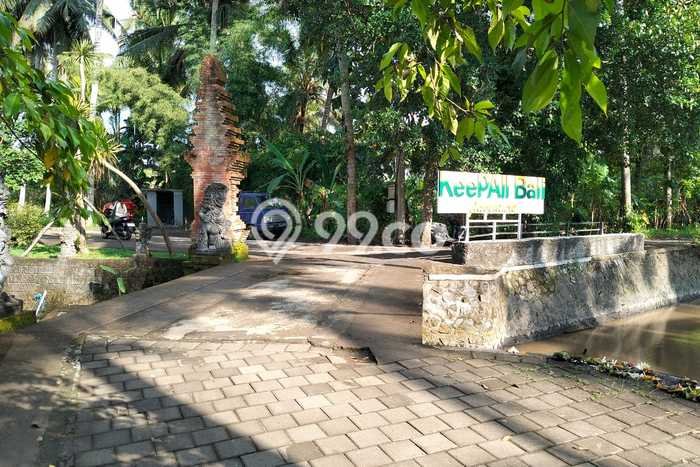 Tanah Dijual Area Strategis di Singapadu Gianyar 4500m2 Tanah Dijual Area Strategis di Singapadu Gianyar 4500m2