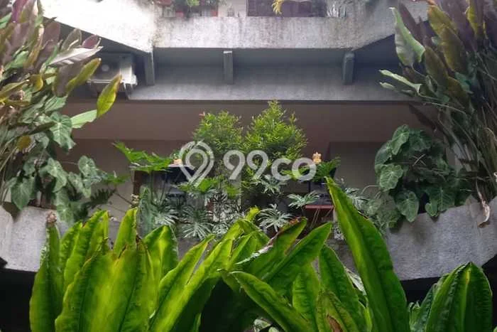 Kost Dijual Lokasi Strategis Renon Denpasar 28 Kamar Tidur Kost Dijual Lokasi Strategis Renon Denpasar 28 Kamar Tidur
