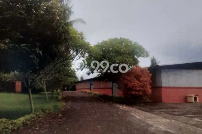 Untuk Dijual Tanah di Jembrana, Luas 20000m2 SHM Untuk Dijual Tanah di Jembrana, Luas 20000m2 SHM