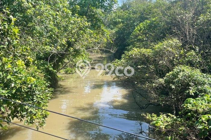 Tanah Investasi Dijual di Gianyar Punya Luas 13m2 Tanah Investasi Dijual di Gianyar Punya Luas 13m2