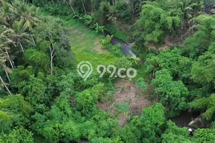 Tanah Disewa di Ubud Gianyar dengan Luas 1248m2 Tanah Disewa di Ubud Gianyar dengan Luas 1248m2