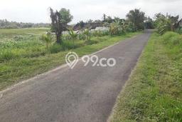 Tanah Dijual di Tabanan Seluas 2100m2 Strategis Tanah Dijual di Tabanan Seluas 2100m2 Strategis