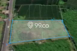 Dijual Tanah 2650m2 di Nyanyi, Badung Dijual Tanah 2650m2 di Nyanyi, Badung
