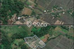 Kavling Tanah di Tabanan Dijual Luas 20000m2 Legalitas SHM Kavling Tanah di Tabanan Dijual Luas 20000m2 Legalitas SHM