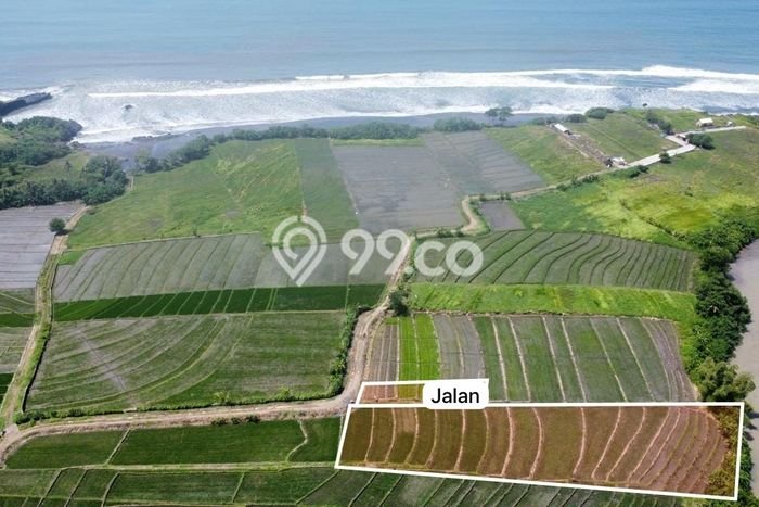 Tanah Dijual Lokasi Strategis di Tabanan dengan Luas 2100m2 Tanah Dijual Lokasi Strategis di Tabanan dengan Luas 2100m2