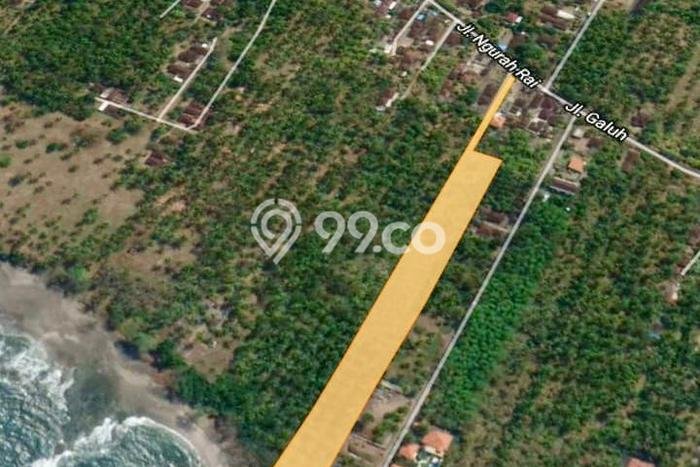 Lahan Kosong Dijual di Jembrana dengan Area 10000m2 Lahan Kosong Dijual di Jembrana dengan Area 10000m2