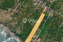 Lahan Kosong Dijual di Jembrana dengan Area 10000m2 Lahan Kosong Dijual di Jembrana dengan Area 10000m2
