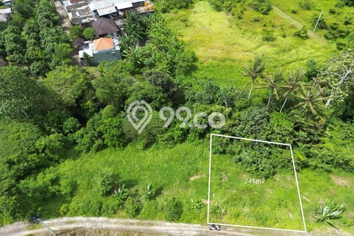 Untuk Dijual Tanah 100m2 di Kedungu, Tabanan Untuk Dijual Tanah 100m2 di Kedungu, Tabanan